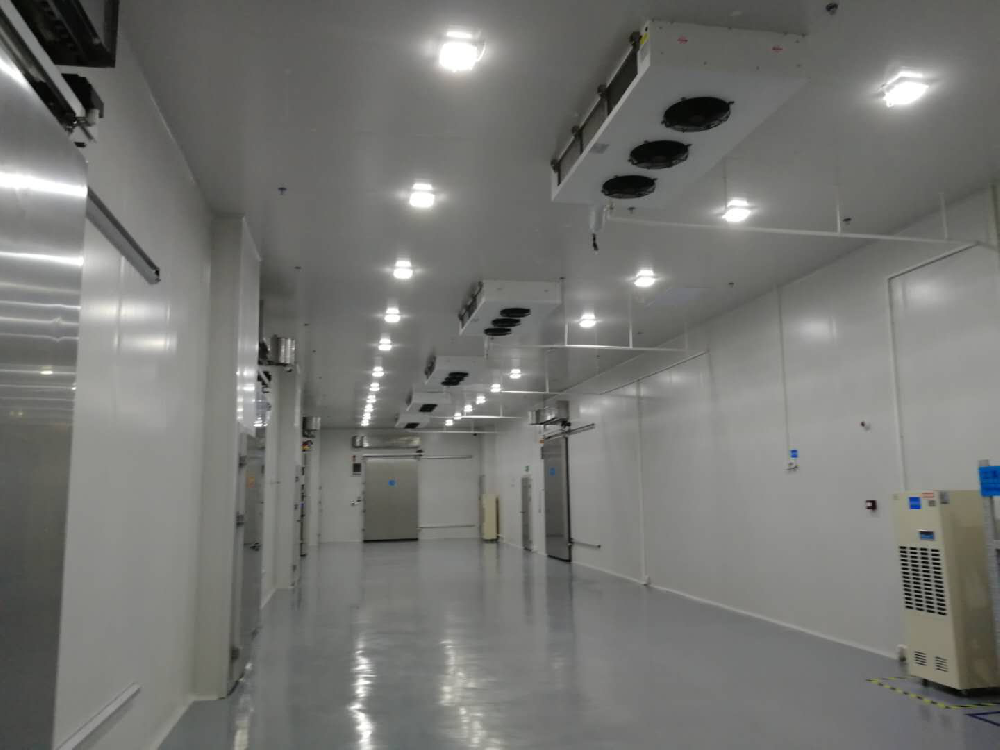 建設2000m3血漿蛋白冷藏庫安裝費用價格需要多少？