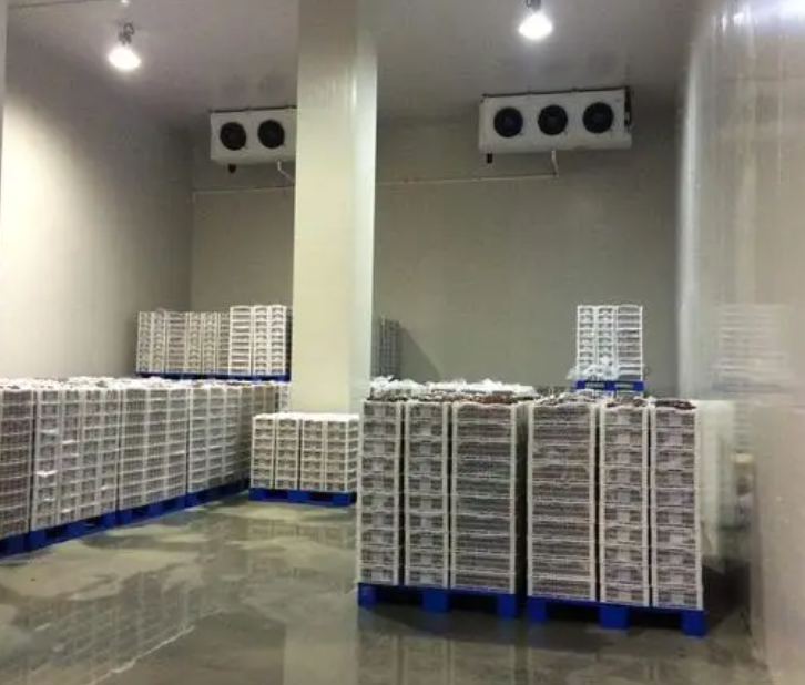 規(guī)范建造100平帶魚(yú)冷庫(kù)，為食品保鮮護(hù)航