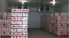 我想建個水果保鮮冷庫，需要考慮哪些方面問題
