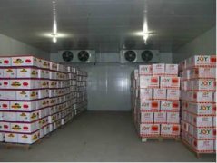 -18℃食品冷庫安裝多少錢一平米，冷庫價格多少錢