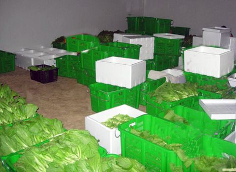 2500立方米冷庫(kù)
