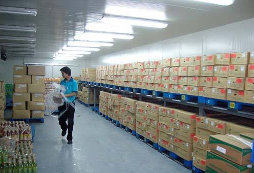 2500立方食品冷庫(kù)