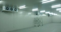 5000噸大蒜需建多大冷庫，冷庫造價多少錢
