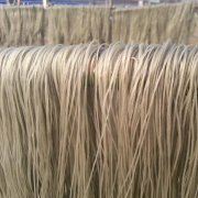 建造一個500噸粉絲冷庫造價多少？