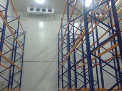 1000噸大姜冷庫安裝費用是多少錢？
