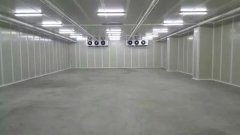 新建500噸香蕉水果氣調庫需要多少錢？