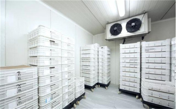 月餅冷庫(食品保鮮冷庫) 月餅冷庫(食品保鮮冷庫)