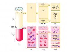 -30℃～-80℃血漿蛋白低溫冷凍庫規范，冷庫安裝價格