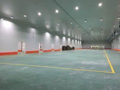 葡萄冷庫造價(jià)，葡萄放冷庫怎么存儲方法