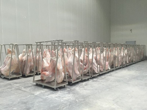 豬肉冷凍庫設備價格，豬肉加工冷庫建造方案