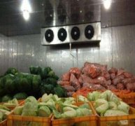 50噸蔬菜保鮮庫決定造價的因素有哪些？
