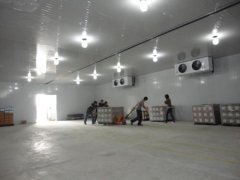 10000噸果蔬氣調庫建造需要多大面積，前期大概預算是多少？