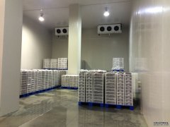 1000噸低溫冷庫安裝流程、設備、造價