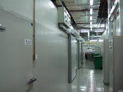 5000平冷凍庫設備造價需要多少錢，冷庫總投資多少